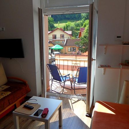 Apartament Kraszewskiego Krynica-Zdrój Exterior foto